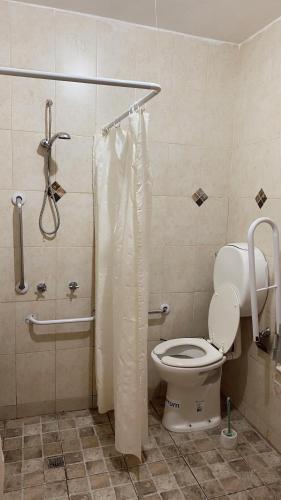 a bathroom with a toilet and a shower with a shower curtain at Apart Hotel Pueblo Viejo in San Juan