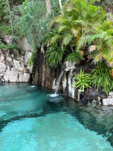 a pool of water with palm trees and a waterfall at Rancho El Venado Termales in Acatic