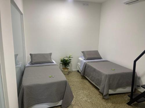 a room with two beds and a plant at Hotel Netto in Cachoeiras de Macacu