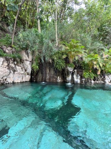 a pool of blue water with trees in the background at Rancho El Venado Termales in Acatic