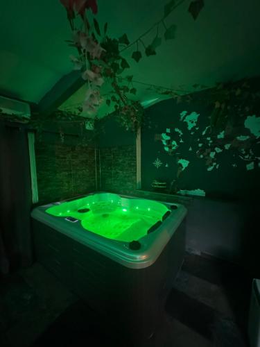 a green bath tub in a dark room at l'Everest Rooms in Marseille