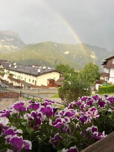 a bunch of purple flowers with a rainbow in the background at Villa Argentina dimora nelle Dolomiti in Calalzo
