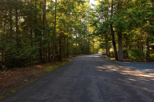 an empty road with trees on either side at Pacific Forest Beach House in Parksville