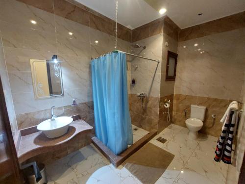 Ένα μπάνιο στο Carter Guesthouse Luxor 3