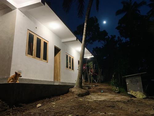 a dog sitting in front of a house at night at Hidden Well Hiriketiya in Hiriketiya
