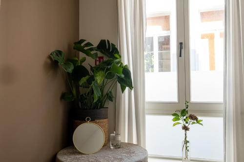 a mirror sitting on a table next to a plant at De Moriaan Historic Center in Antwerp