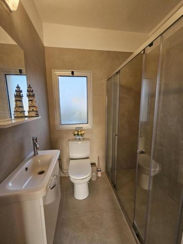 a bathroom with a toilet and a shower and a sink at Beachfront Penthouse with beautiful view in North Cyprus in Küçükerenköy
