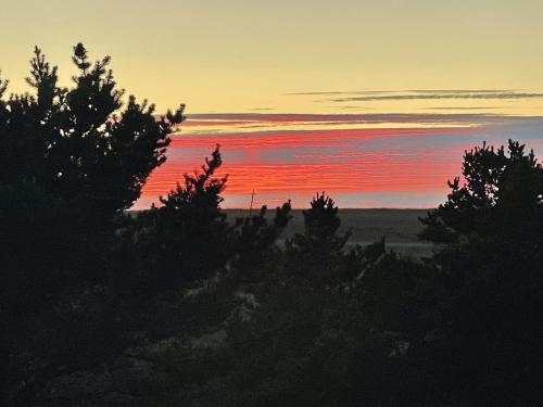 Foto dalla galleria di KC's Serenity By The Sea a Warrenton