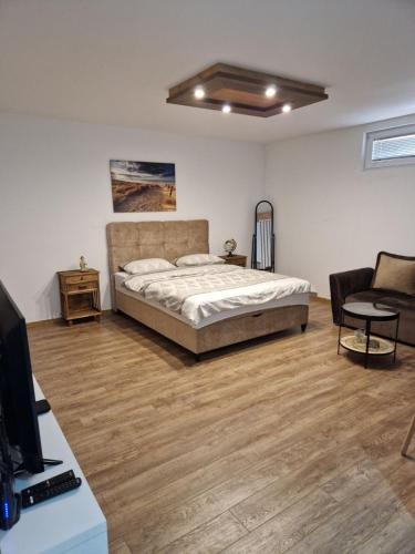 Un dormitorio con una cama y un escritorio con televisión. en Apartmani Pejovic, en Nikšić