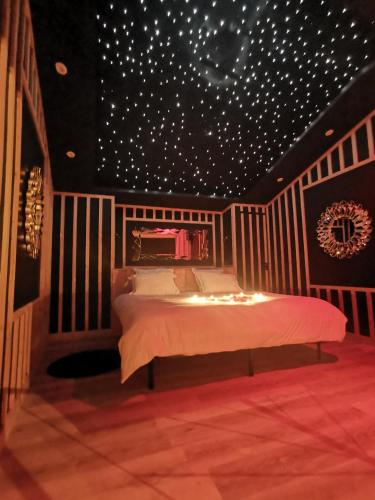 - une chambre avec un lit doté d'un plafond étoilé dans l'établissement love room paradix, à Saint-Denis-de-Pile
