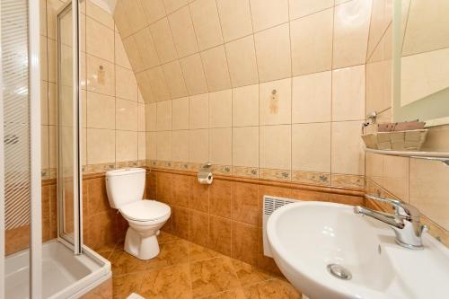 a bathroom with a toilet and a sink and a shower at Willa Górski Potok - W CENIE ŚNIADANIE I ZNIŻKI NA TERMY ! in Biały Dunajec