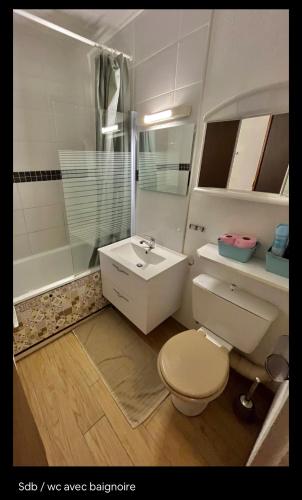 une salle de bain avec un lavabo, des toilettes et une douche dans l'établissement Appartement en duplex à 50m de la plage avec wifi, à Hossegor