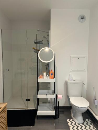 une salle de bain avec douche et toilettes dans l'établissement Appartement PARIS-Le Plessis-Trévise, à Le Plessis-Trévise