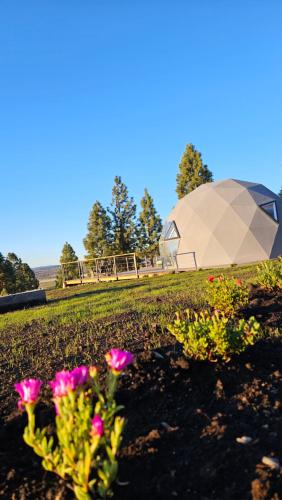 Zahrada ubytování Nawal Glamping - Domos