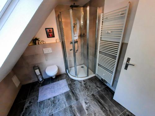 MarpingenにあるFeWo Glückstübchenのシャワーとトイレ付きのバスルーム