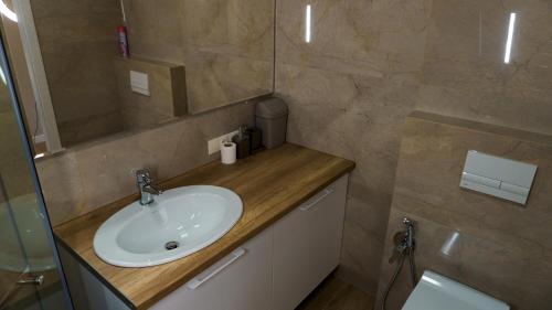 a bathroom with a sink and a mirror at Coliseum Studio C in Chişinău