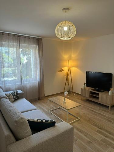 un salon avec un canapé et une télévision à écran plat dans l'établissement Appartement combe des dames Périgueux, à Périgueux