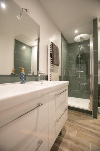 une salle de bain avec un lavabo blanc et une douche dans l'établissement Appartement combe des dames Périgueux, à Périgueux