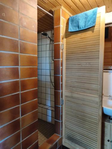 a shower with a metal door in a bathroom at Schäferwagen Grünspecht in Ratingen