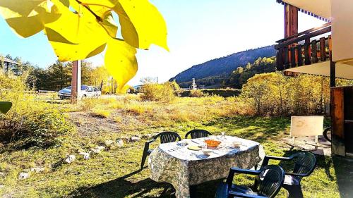 Résidence Le Palatin - APPARTEMENT EN REZ DE CHAUSSEE AU PIED DES PISTES - 4/6 PERS MAE-9021