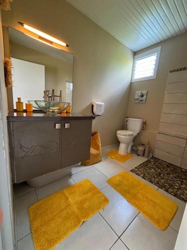 a bathroom with a sink and a toilet and a mirror at Résidence Flores De Maria in Le Marin
