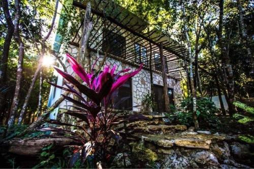 Zahrada ubytování Escarabajo Rojo La Casa Principal