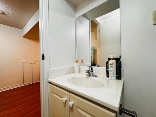 a bathroom with a sink and a mirror at Cozy Walkout Basement with Tranquility in Toronto