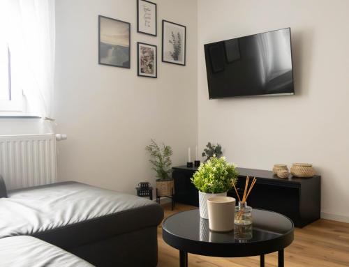 TV a/nebo společenská místnost v ubytování COZY HOUSE I Europa Park I Rulantica I 2 Floors I 3 Bedrooms I Netflix