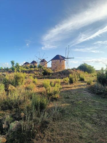 a group of windmills on a grassy field at Moinho da Alfazema in Penacova