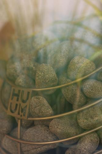 a pile of nuts in a display case at Boulevard Boutique Suites in Łeba