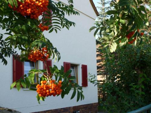 Gallery image of Wiete Lenk Comfortable holiday residence in Dresden
