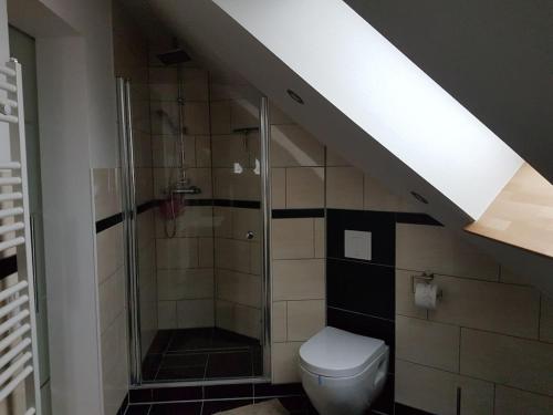 ein Bad mit einem WC und einer ebenerdigen Dusche in der Unterkunft Stiftsblick Comfortable holiday residence in Gernrode