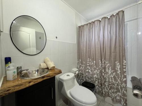 un bagno con un water, un lavandino e uno specchio di Cabaña en Malalcahuello a Malalcahuello