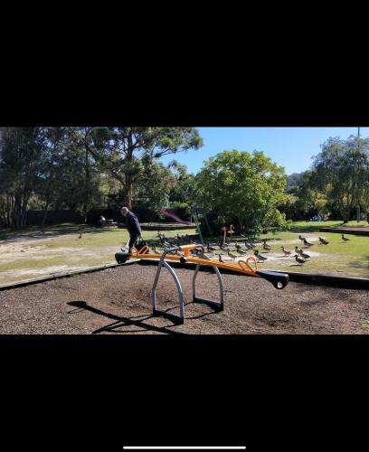 a man sitting on a table with a flock of birds at Guesthouse in W Gosford Centre in Gosford