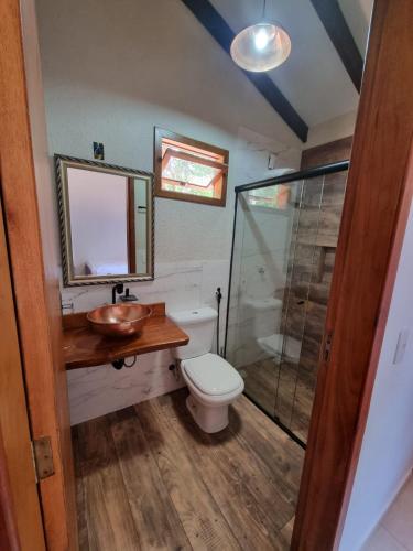 a bathroom with a toilet and a sink and a shower at Sítio Quinta da mata - Casa Amarela in Pirenópolis