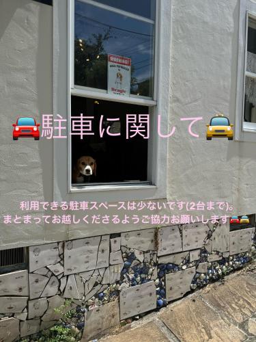 a dog sticking its head out of a window at Kamakurayama Holiday Flat in Kamakura