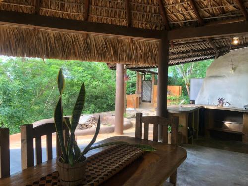 a table with a potted plant on top of a room at El Nido in Brisas de Zicatela