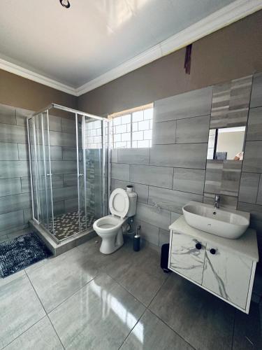 a bathroom with a toilet and a sink and a shower at KGADITSE ROAD LODGE in Moletlane