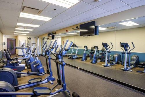 a gym with several rows of cardio machines at Luxury Apt at the Point Easy Access To and From Downtown 24-7 Parking in Pittsburgh