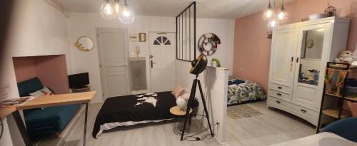 Appartement Hyper centre historique Toulouse capitole cosy