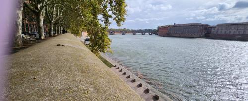 Appartement Hyper centre historique Toulouse capitole cosy
