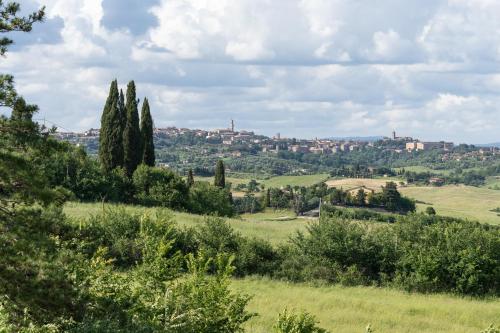 a view of a city from a field with trees at La Capanna di Elfo luxury villa View in Siena