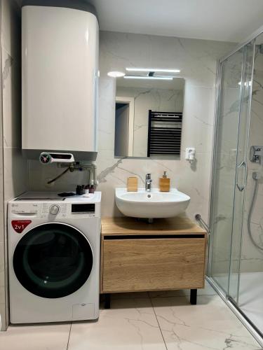 a bathroom with a washing machine and a sink at Apartmány Resort Vrchlabí in Vrchlabí