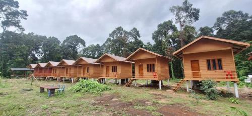 een rij houten huizen in een veld bij Konglor Cave Resort-Riverside Restaurant in Ban O