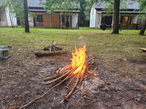 a fire pit in a yard with trees and a house at Leśna Osada Wieliszew in Wieliszew