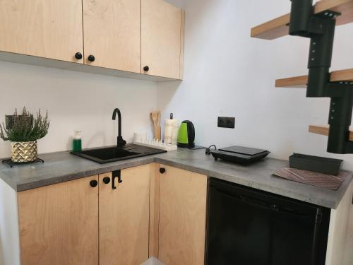 a kitchen with a sink and a counter top at Leśna Osada Wieliszew in Wieliszew