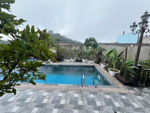 a swimming pool with plants in a yard at Thung Lũng Mây - Venuestay in Tam Ðảo