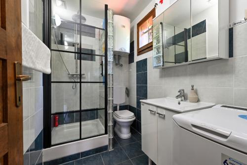 a bathroom with a toilet and a sink and a shower at Holiday house Kontesa in Veliko Trgovišće