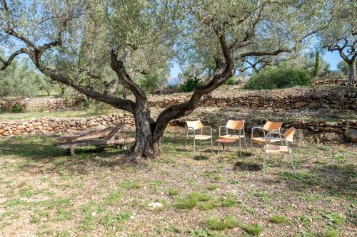 a group of chairs and a bench under a tree at Casa Arbol in Camarles