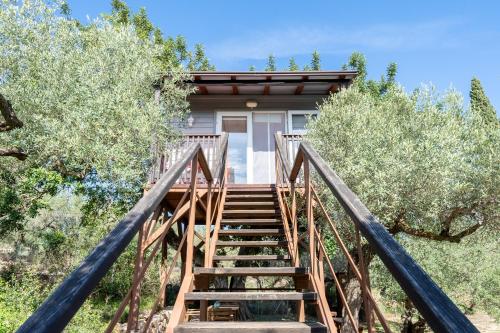 a staircase leading up to a house with trees at Casa Arbol in Camarles